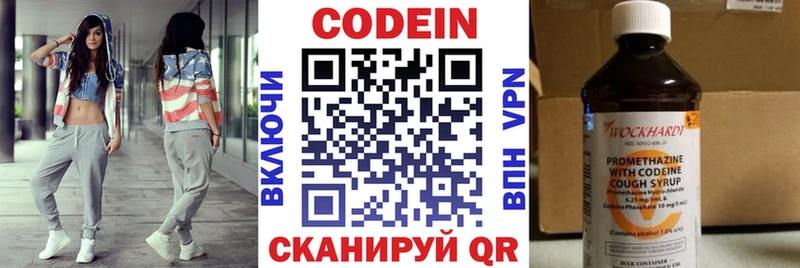 Купить закладки  Салаир  Кодеиновый сироп Lean Purple Drank 