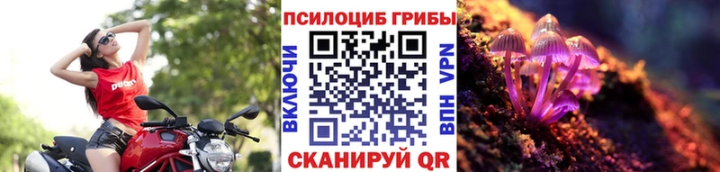 Галлюциногенные грибы MAGIC MUSHROOMS  Купить закладки  Салаир 